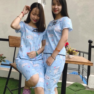 Bộ lửng thô lụa