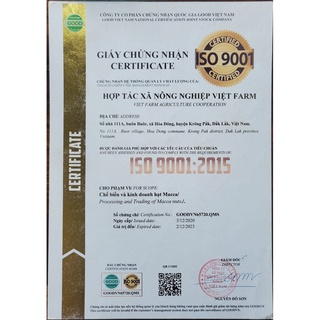 HẠT MACCA DAKLAK-1000GR