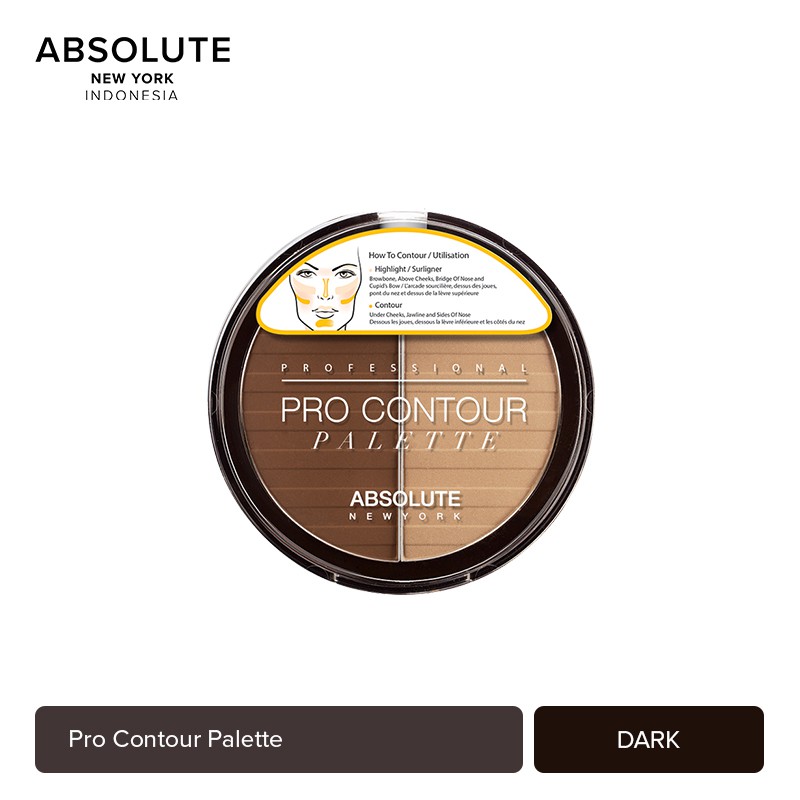 (hàng Mới Về) Bảng Phấn Tạo Khối Trang Điểm Chuyên Nghiệp Thương Hiệu Absolute | BigBuy360 - bigbuy360.vn