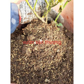 5 kg đất trộn trồng hồng các loại
