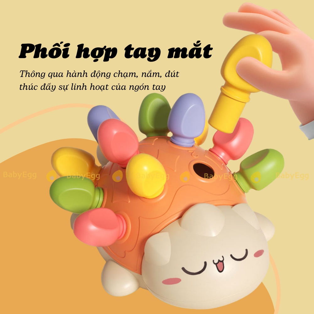 Thanh rút nhím cho trẻ sơ sinh trẻ nhỏ em bé trai bé gái 2 3 tuổi 12 13 14 18 tháng