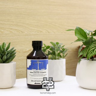 Dầu gội đầu trị dầu Davines Natural Tech Rebalancing 250ml | Nhập khẩu từ Ý