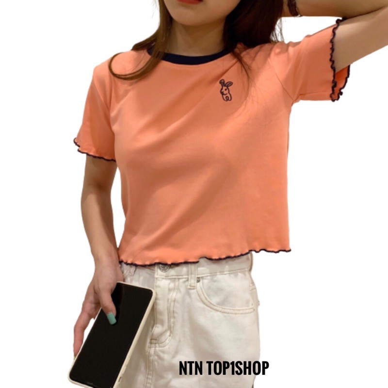 Áo tay ngắn thêu con thỏ phối viền(CH)