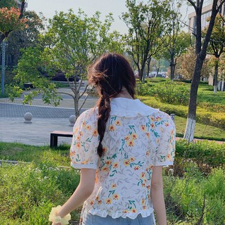 Ao HOA CỔ BÈO SIÊU ĐÁNG YÊU
