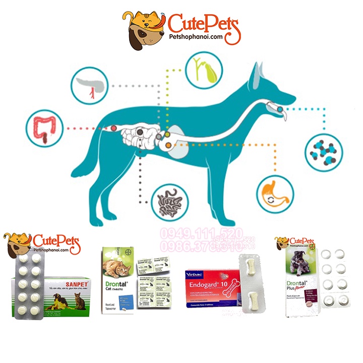 Viên nén hỗ trợ đường ruột cho chó mèo tây zun san - CutePets