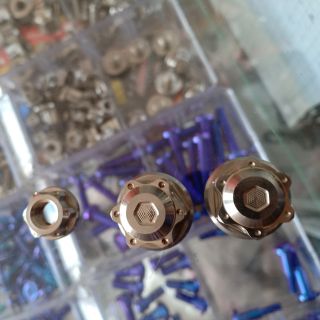 Tán inox Salaya - 8li 10li 12li