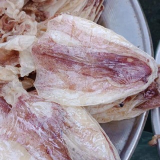 Khô mực câu