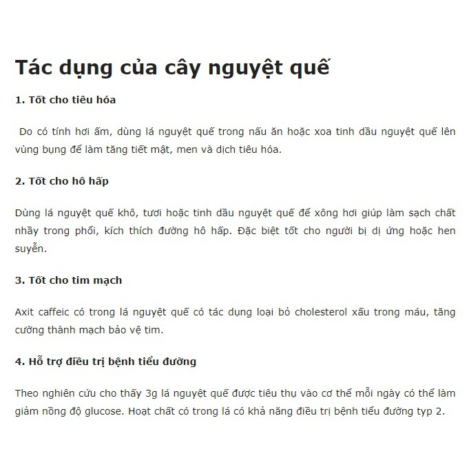 1 Cây Giống Hoa Nguyệt Quế ( ra hoa liên tục )