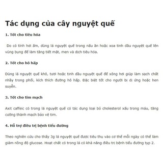 20 cây nguyệt quế con
