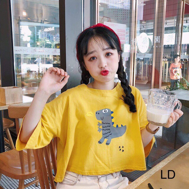 Áo Croptop nữ form rộng kiểu Hàn Quốc KLONG SỌC Freesize dưới 55kg Molly Fashion