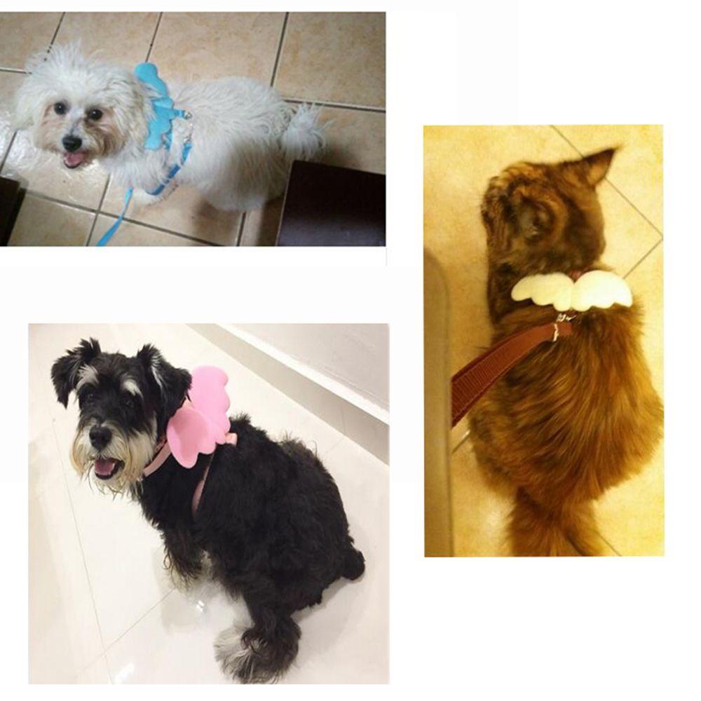 Dây Dắt Thú Cưng Đi Dạo Bằng Nylon