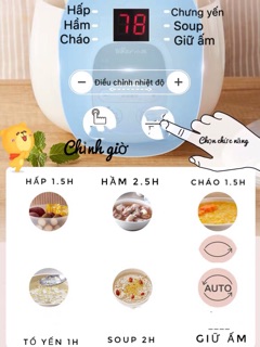 Nồi nấu chậm/ Nồi cách thuỷ Bear