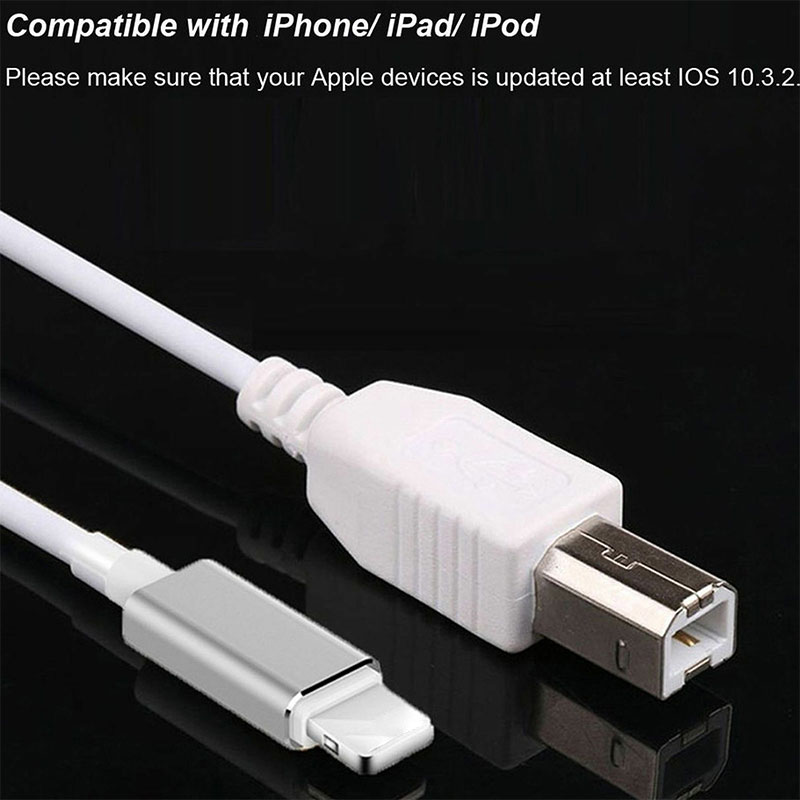 VN (Hàng Mới Về) Bộ 2 Đầu Chuyển Đổi Từ Cổng Lightning Sang Type-B Midi Usb 2.0 Cho Iphone 7 8 X Ipad