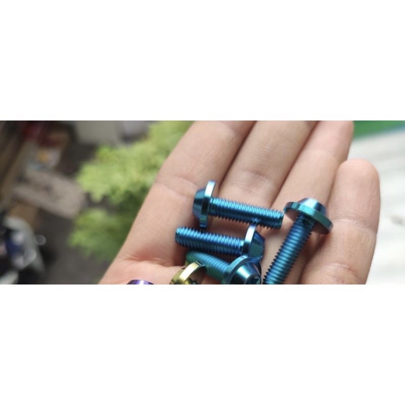 Ốc Titan GR5 6ly2 Bắt Che Pô Xe Tay Ga(giá 1 Con)