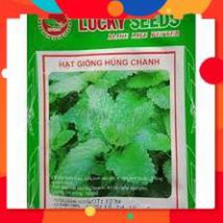 HẠT GIỐNG HÚNG CHANH GÓI 0,1G