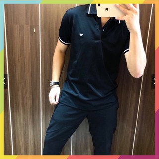 Áo thun polo nam thêu ong cao cấp pl2