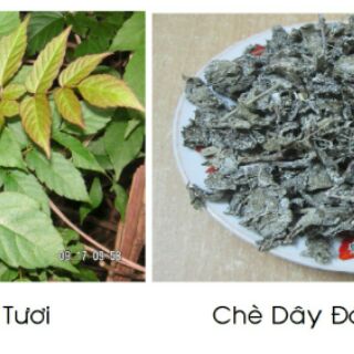 Chè dây 1kg