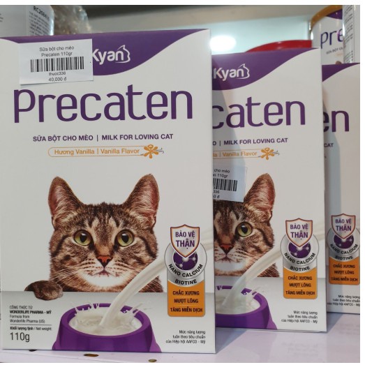 Sữa Bột cao cấp Dinh Dưỡng cho mèo Predogen Dr.Kyan Hộp -110g