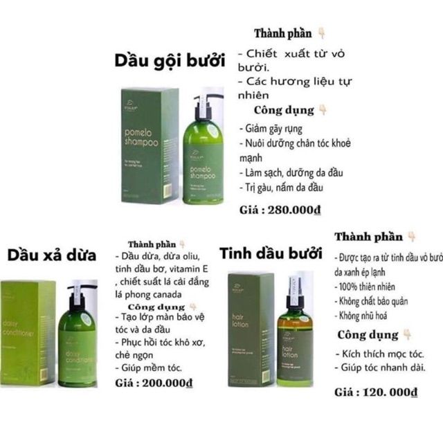 COMBO BƯỞI VI JULLY  Hàng Chính Hãng