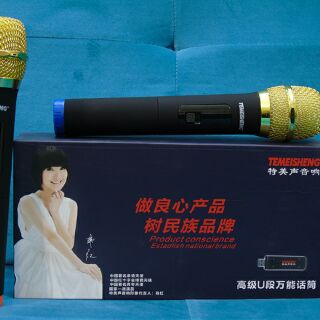 Bộ MICRO Không Dây Chính Hãng TEMEISHENG