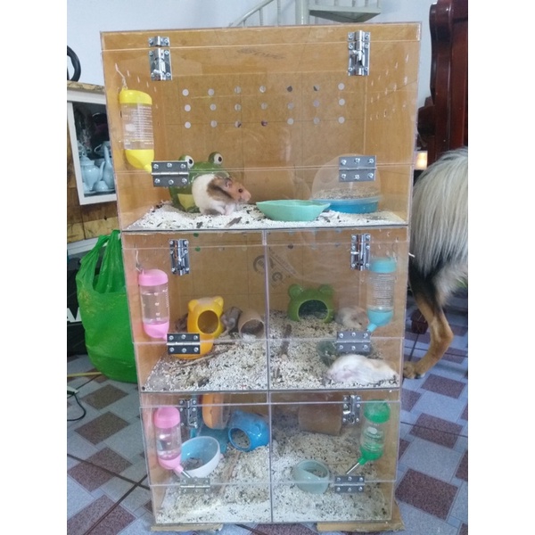 Lồng mica đủ size thiết kế theo yêu cầu
