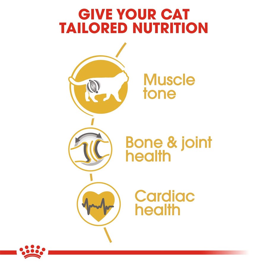 Hạt Cho Mèo Lớn Anh Lông Ngắn Royal Canin British Shorthair