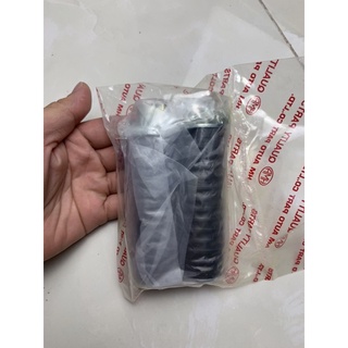 Su chân sau Dream Thai