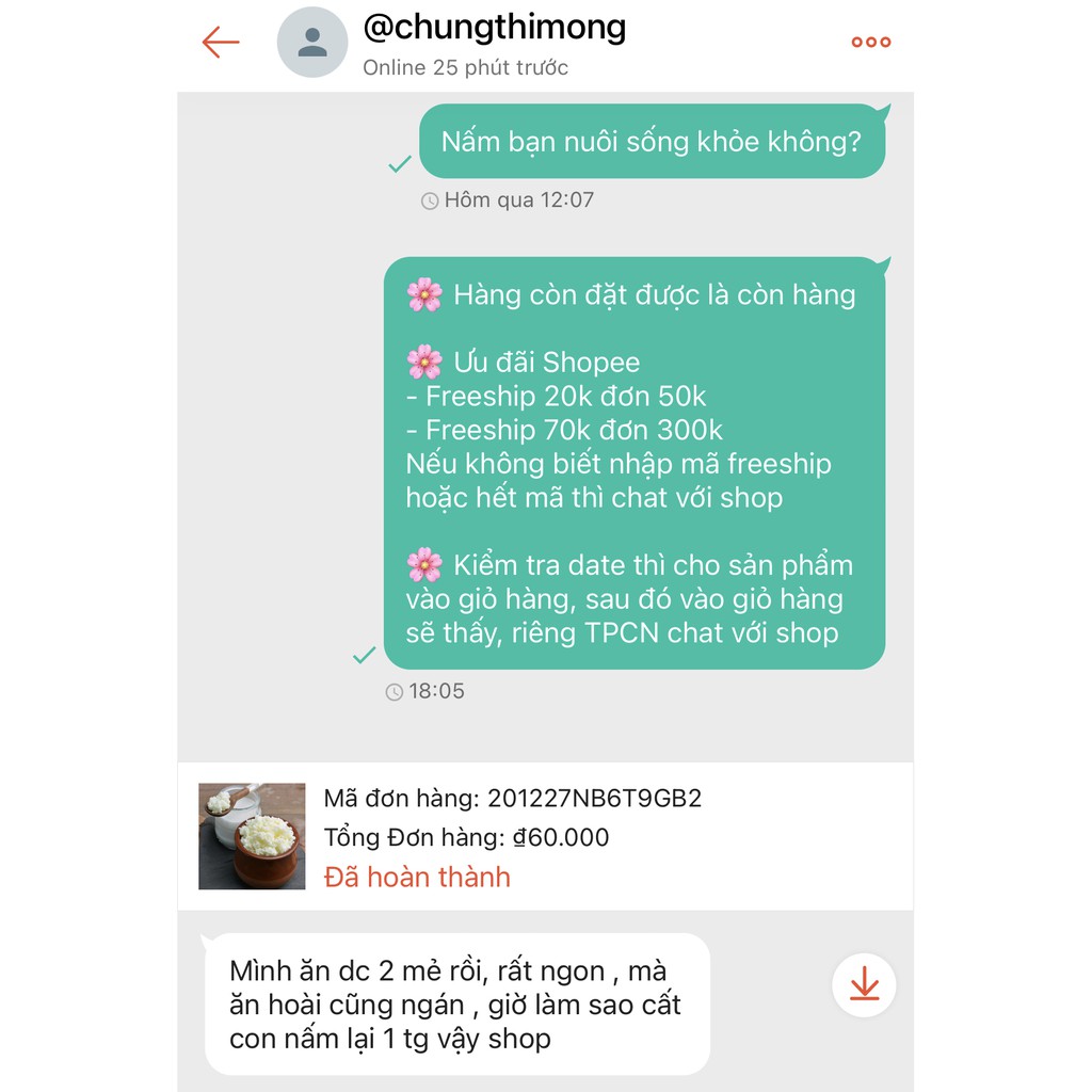 Combo Nấm sữa chua Kefir - Nấm tuyết Tây Tạng  - hebenastore