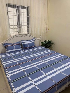 Sét ga gối cotton Hàn m6*2m