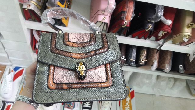 Túi BLV đầu rắn