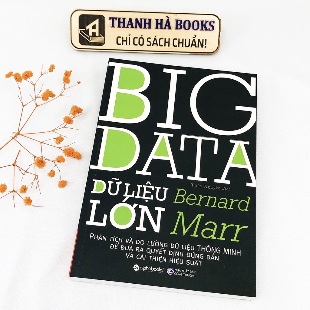 Sách - Big Data - Dữ Liệu Lớn