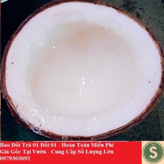 Dừa Sáp Trà Vinh - Loại 3