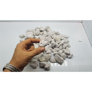 1kg Đá Lông Vũ giá chỉ 40k