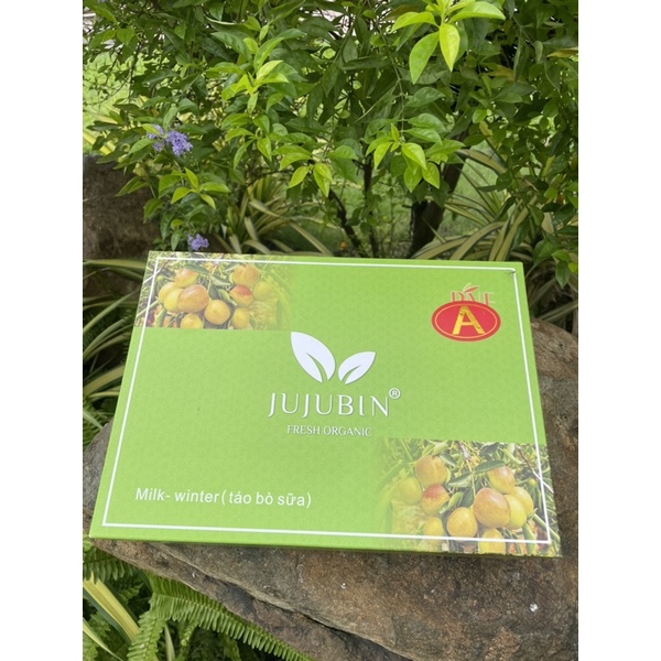 Táo tàu giòn ngọt 500gr