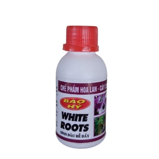 White Root Siêu Kích Rễ - Báo Hỷ 100ml