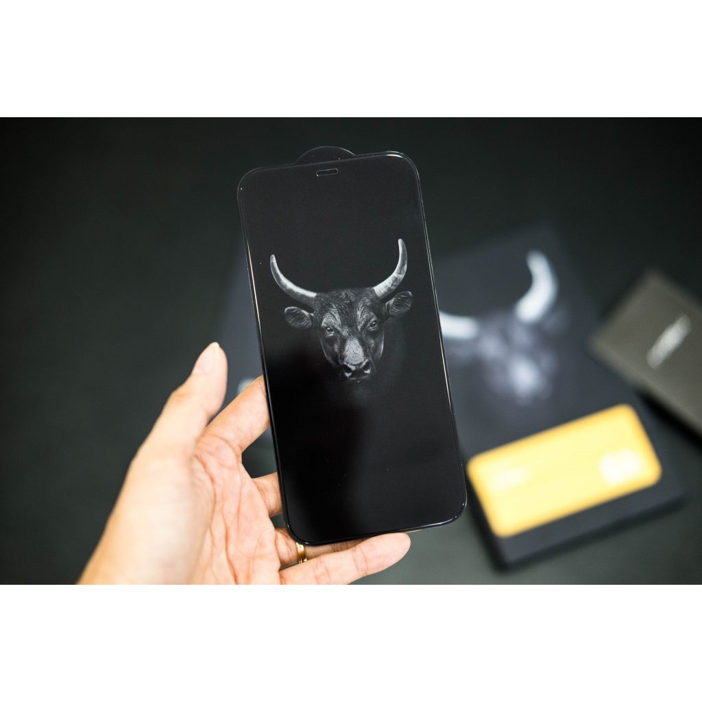 Kính Cường Lực / Chống Nhìn Trộm / Chống Vân Tay Mipow Kingbull HD Premium 2.7D iPhone 12 Pro Max / 12 Pro / 12 / 12Mini