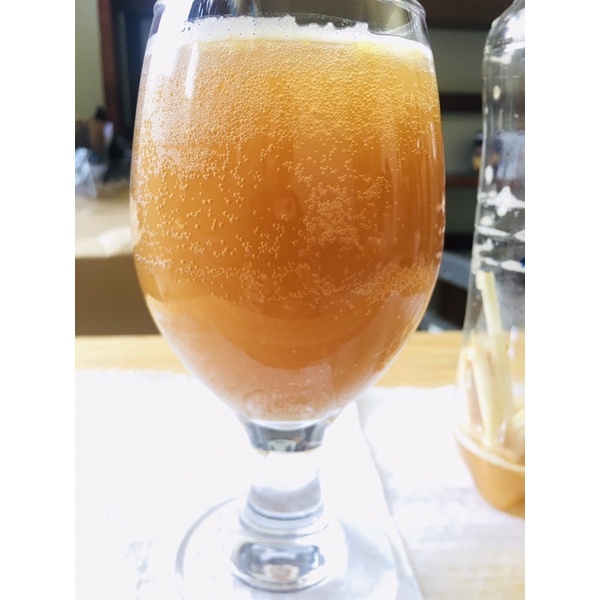 Scoby con giống làm trà thuỷ sâm KomBuCha  kèm nước mồi kĩ