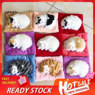 ❂Qy❂Kid Realistic Mew Sound Cat Ngủ trong tổ Than hoạt tính Đồ chơi sang trọng Trang trí xe hơi