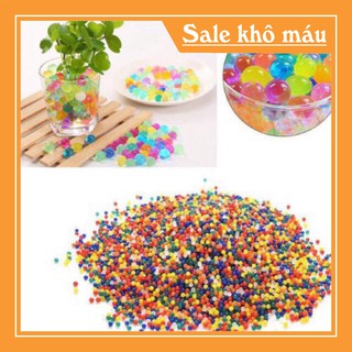 Gói hạt nở (24 gói)