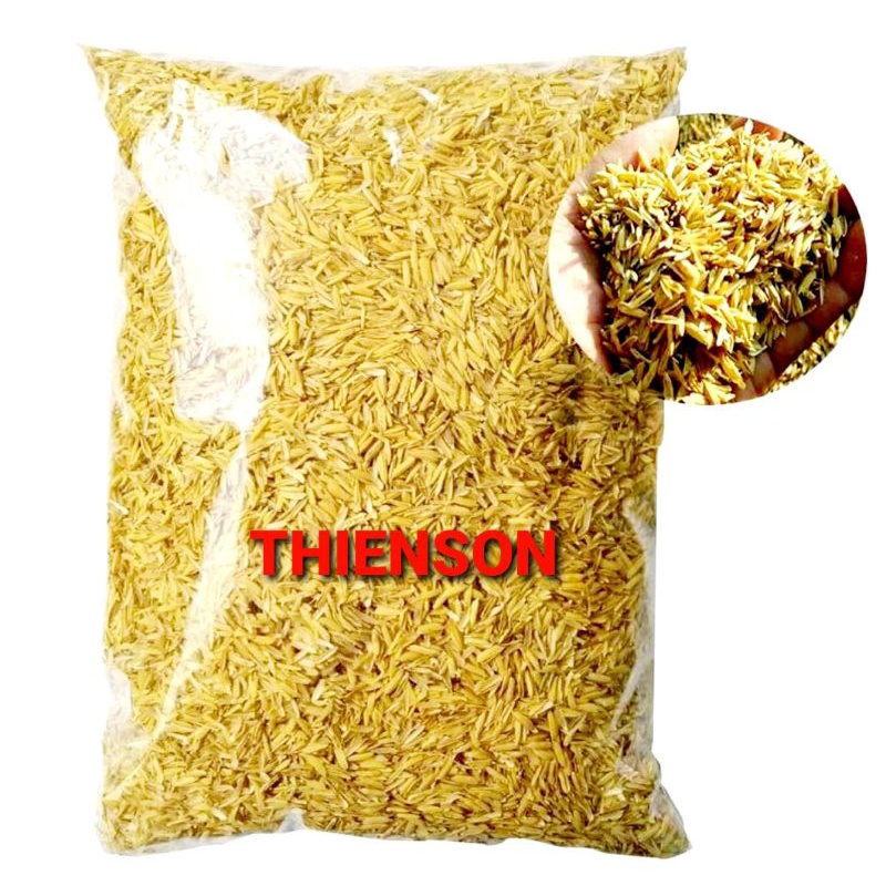 Vỏ Trấu Sống Bao 5dm Trồng Cây Bao Tốt