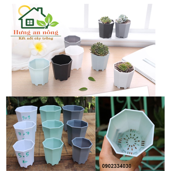 10 - Chậu tròn 8 cạnh nhựa PP cao cấp độ dầy gần 2 ly- chuyên trồng bonsai mini, sen đá xương rồng - có 3 size