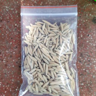 Hạt sứ Thái giống kim tự tháp