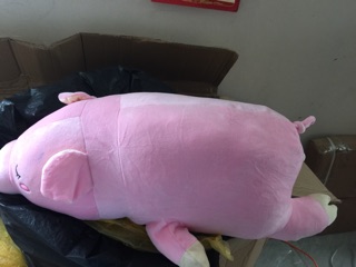 Gấu bông lợn hồng