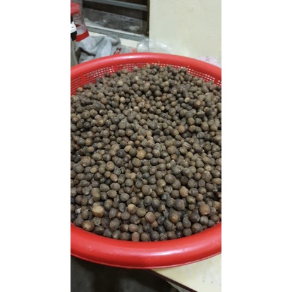 Hạt dẻ rừng Kỳ Sơn Nghệ An