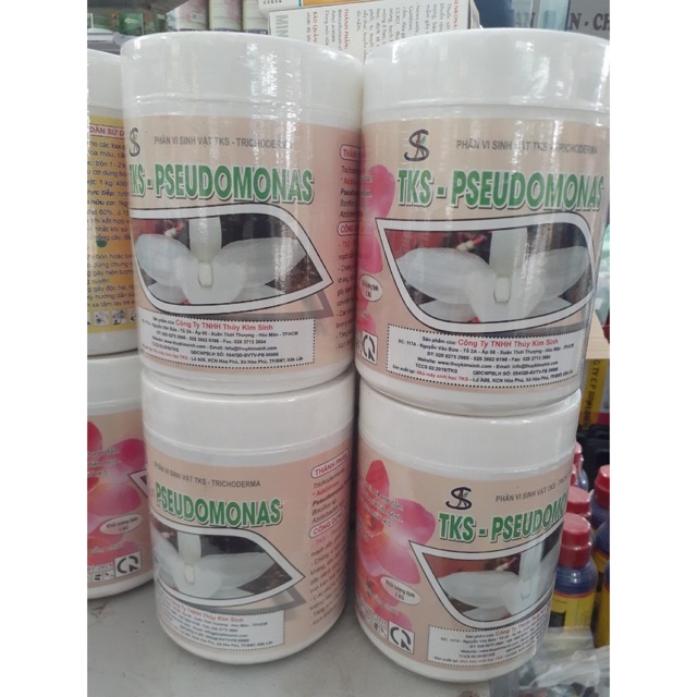 Phân bón TKS PSEUDOMONAS đối kháng và diệt các loại nấm bệnh 1kg an toàn khi sử dụng