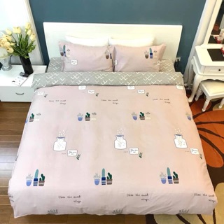 Bộ chăn ga gối cotton 100%