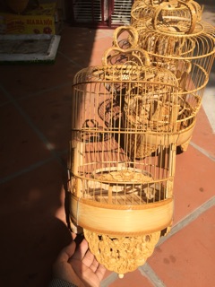 Lồng khuyên đục
