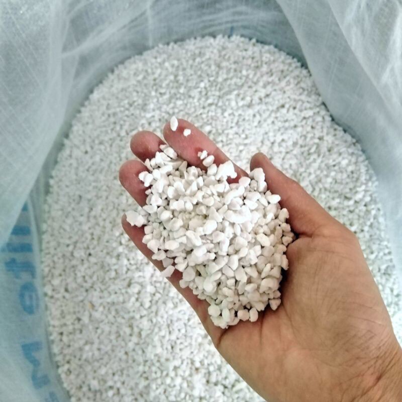perlite trồng cây