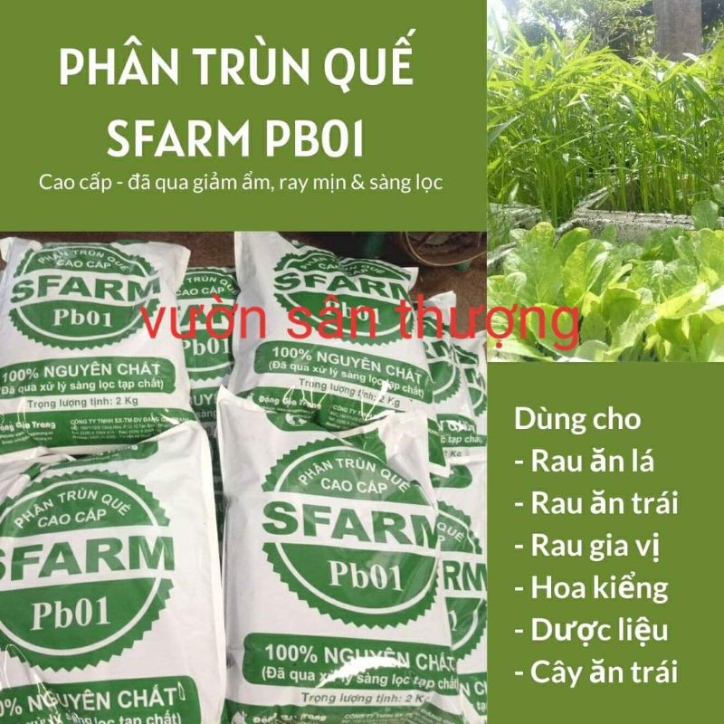 Túi 5kg Phân Trùn Quế Cao Cấp Nguyên Chất Sfarm Đặng Gia Trang pb01, Tăng Mùn, Vi Sinh, Cải Tạo, Bón Cho Cây