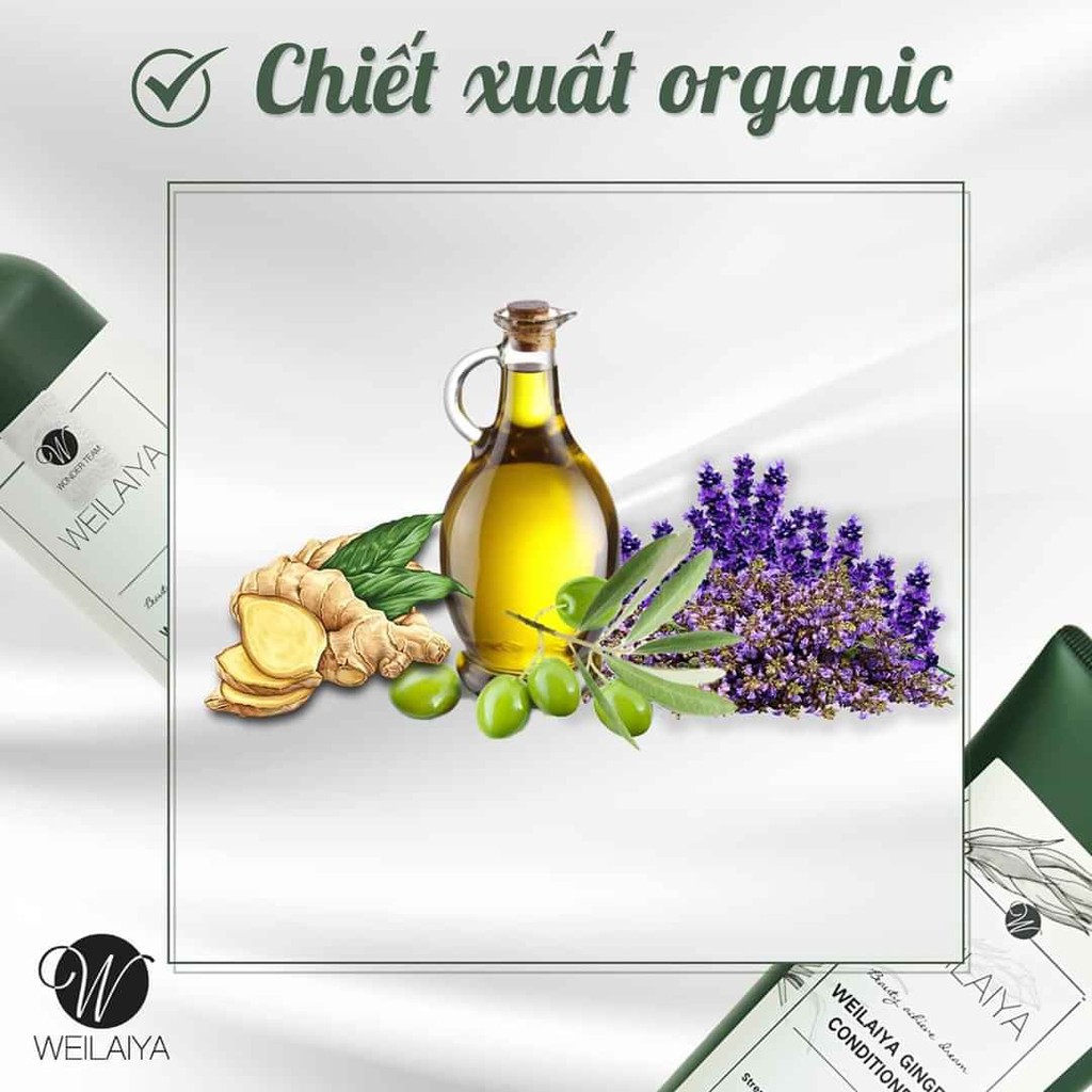 Bộ dầu gội Weilaiya mọc tóc tri rụng tóc tinh chất Gừng và Hà Thủ Ô | BigBuy360 - bigbuy360.vn
